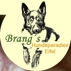 Brangs Hundeparadies Eifel- Urlaub mit Hund