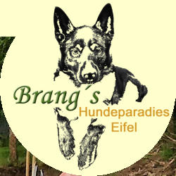 Brangs Hundeparadies Eifel- Urlaub mit Hund