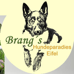 Brangs Hundeparadies Eifel- Urlaub mit Hund