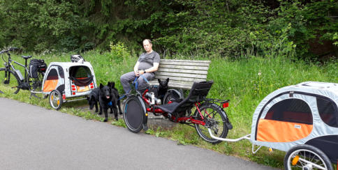 Hund geniesst den Urlaub in Brangs Hundeparadies Eifel