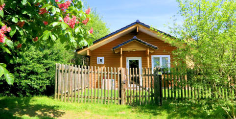 Ferienhaus Sonnebüsch - Urlaub mit Hund in Brangs Hundeparadies Eifel in Jünkerath