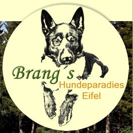 eingezäunter Agilityplatz in Brangs Hundeparadies Eifel